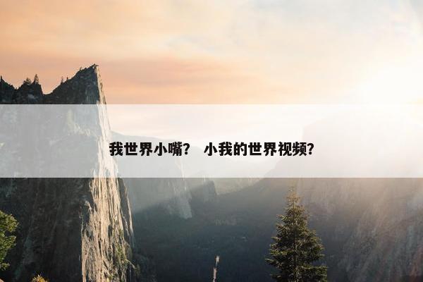 我世界小嘴？ 小我的世界视频？