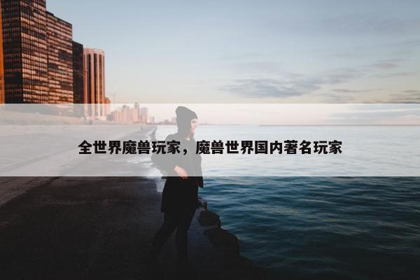 全世界魔兽玩家，魔兽世界国内著名玩家