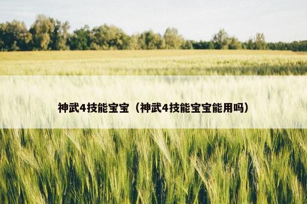 神武4技能宝宝（神武4技能宝宝能用吗）