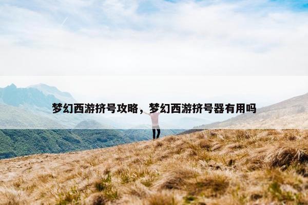 梦幻西游挤号攻略，梦幻西游挤号器有用吗