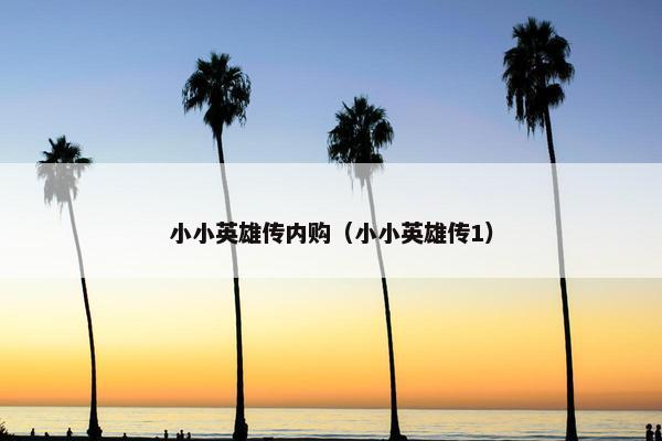小小英雄传内购（小小英雄传1）