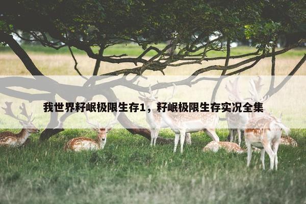 我世界籽岷极限生存1，籽岷极限生存实况全集