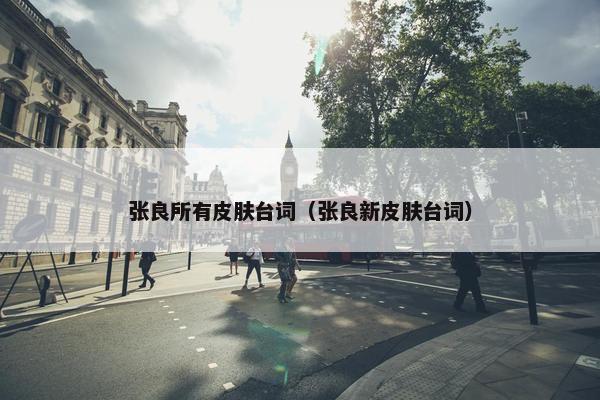 张良所有皮肤台词（张良新皮肤台词）
