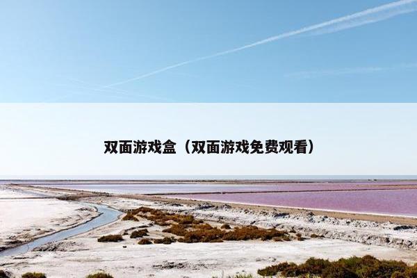 双面游戏盒（双面游戏免费观看）
