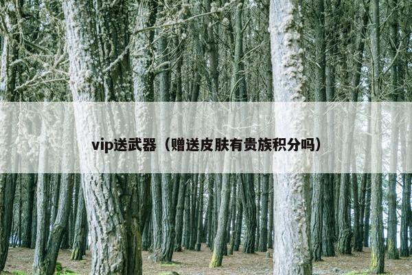 vip送武器（赠送皮肤有贵族积分吗）