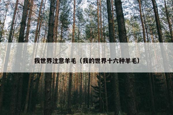我世界注意羊毛（我的世界十六种羊毛）