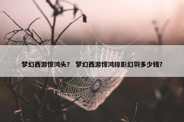 梦幻西游惊鸿头？ 梦幻西游惊鸿掠影幻羽多少钱？