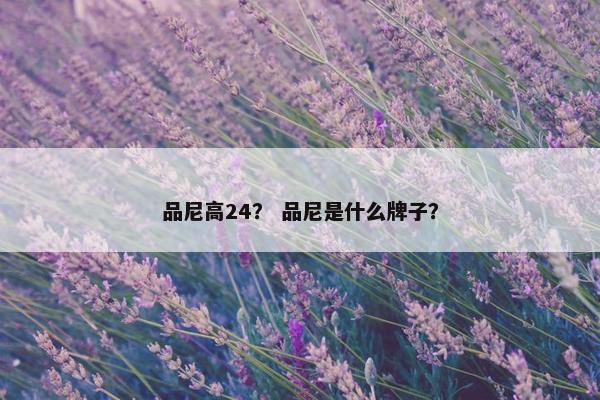 品尼高24？ 品尼是什么牌子？
