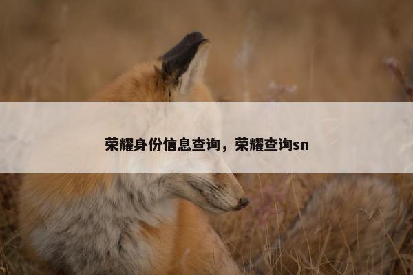 荣耀身份信息查询，荣耀查询sn