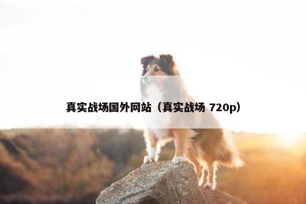 真实战场国外网站（真实战场 720p）
