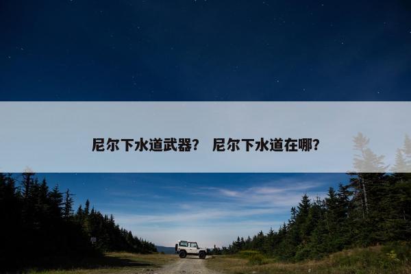 尼尔下水道武器？ 尼尔下水道在哪？