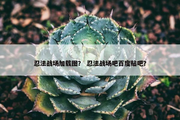 忍法战场加载图？ 忍法战场吧百度贴吧？