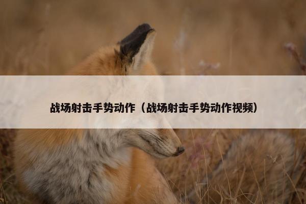 战场射击手势动作（战场射击手势动作视频）
