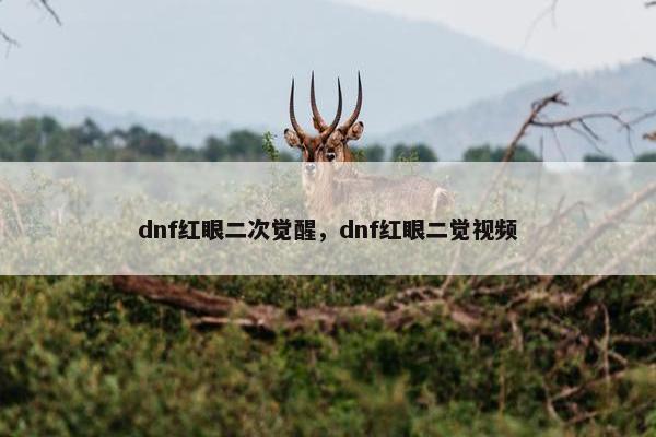 dnf红眼二次觉醒，dnf红眼二觉视频