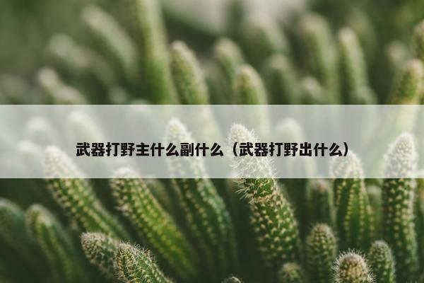 武器打野主什么副什么（武器打野出什么）