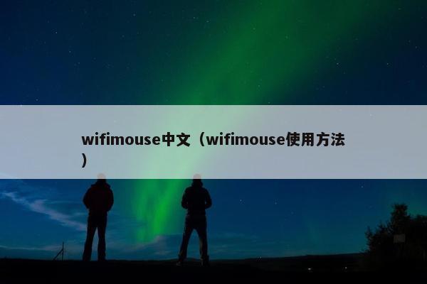 wifimouse中文（wifimouse使用方法）