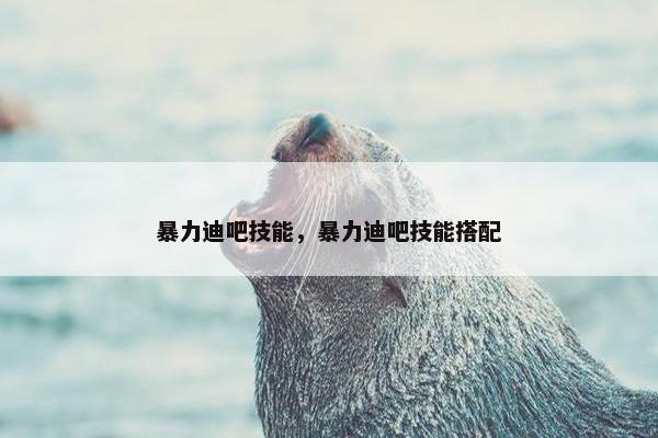暴力迪吧技能，暴力迪吧技能搭配