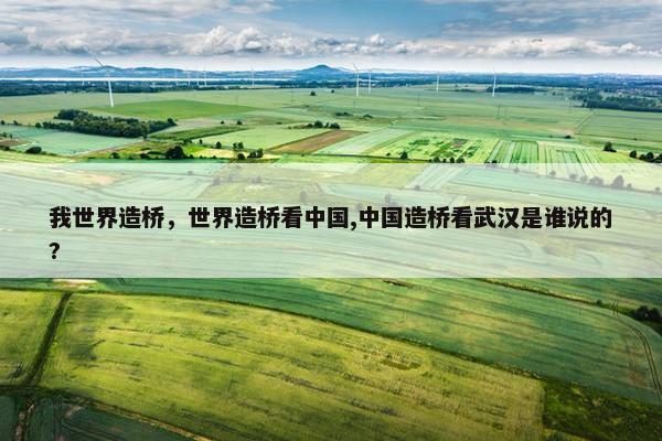 我世界造桥，世界造桥看中国,中国造桥看武汉是谁说的?