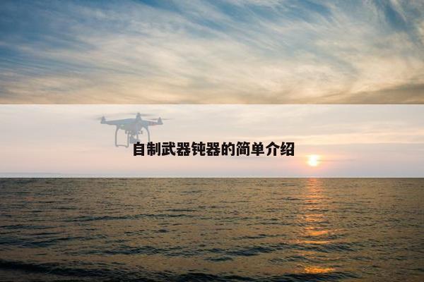 自制武器钝器的简单介绍