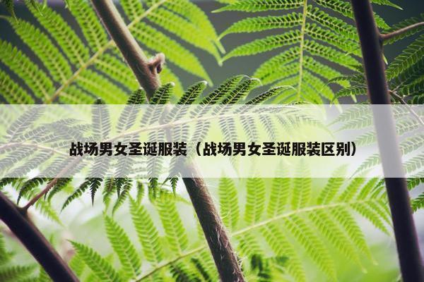 战场男女圣诞服装（战场男女圣诞服装区别）
