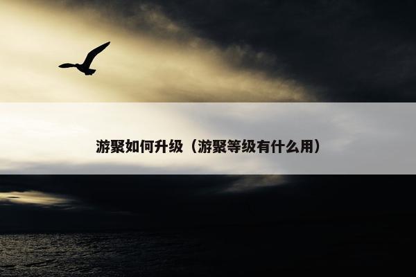 游聚如何升级（游聚等级有什么用）