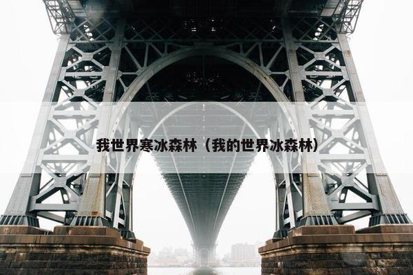 我世界寒冰森林（我的世界冰森林）