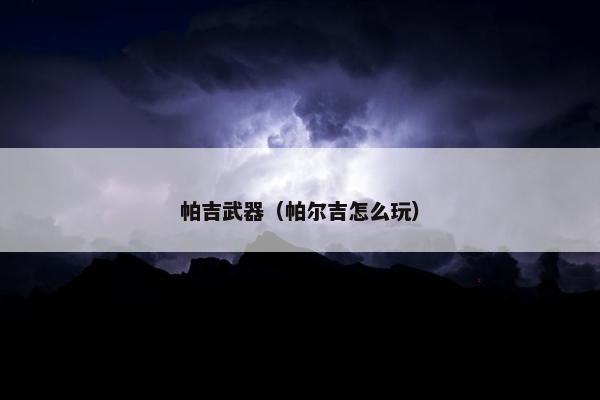 帕吉武器（帕尔吉怎么玩）