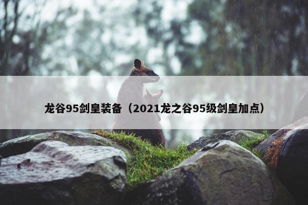 龙谷95剑皇装备（2021龙之谷95级剑皇加点）