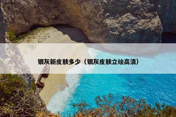 银灰新皮肤多少（银灰皮肤立绘高清）