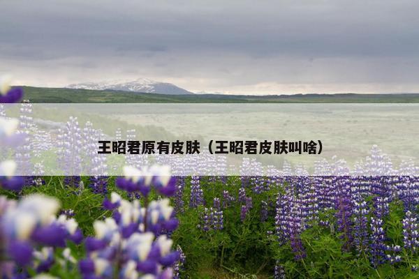 王昭君原有皮肤（王昭君皮肤叫啥）