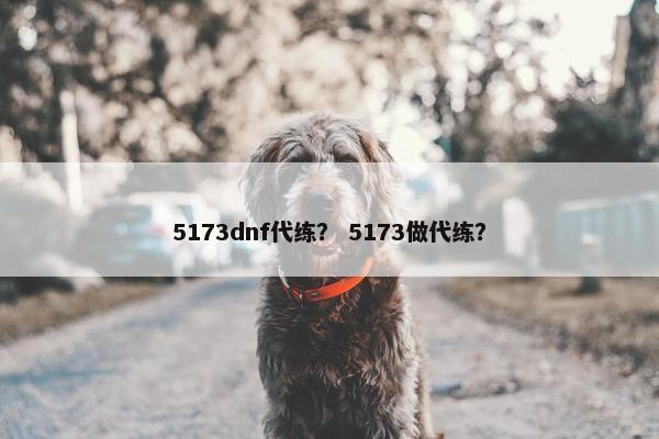 5173dnf代练？ 5173做代练？