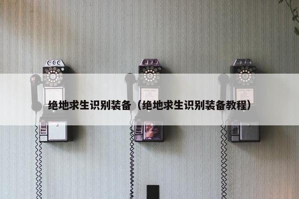 绝地求生识别装备（绝地求生识别装备教程）