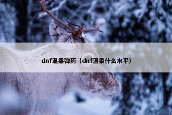 dnf温柔弹药（dnf温柔什么水平）
