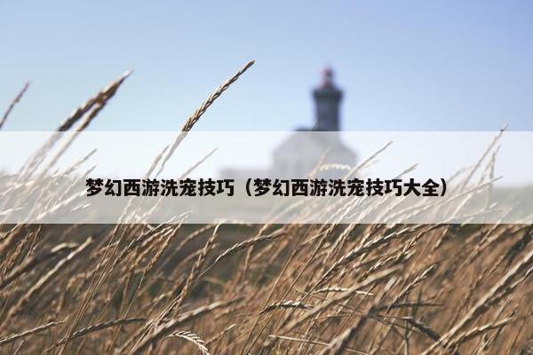 梦幻西游洗宠技巧（梦幻西游洗宠技巧大全）