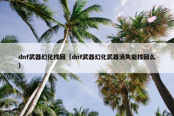 dnf武器幻化找回（dnf武器幻化武器消失能找回么）