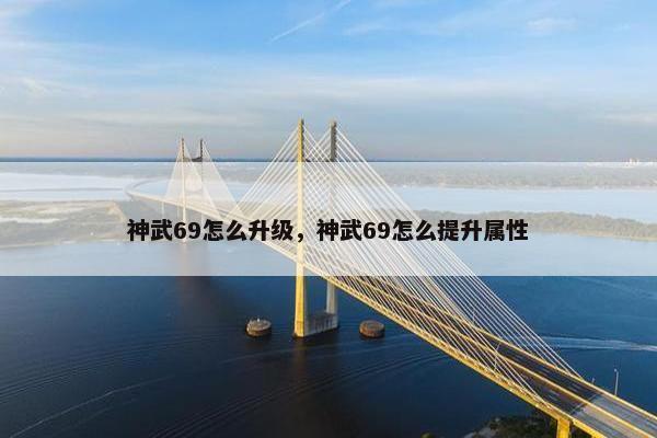 神武69怎么升级，神武69怎么提升属性