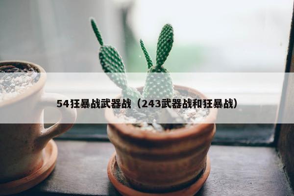 54狂暴战武器战（243武器战和狂暴战）