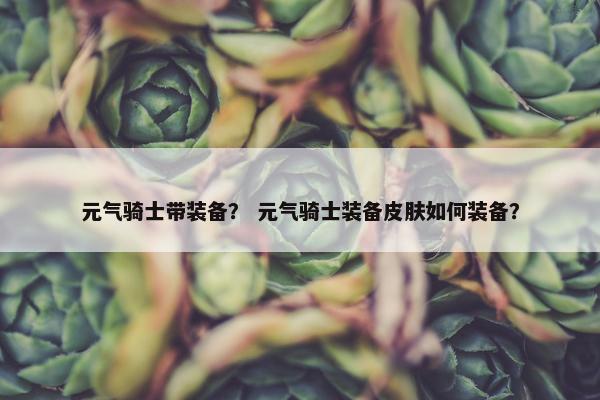 元气骑士带装备？ 元气骑士装备皮肤如何装备？
