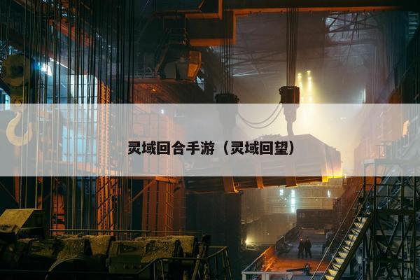 灵域回合手游（灵域回望）