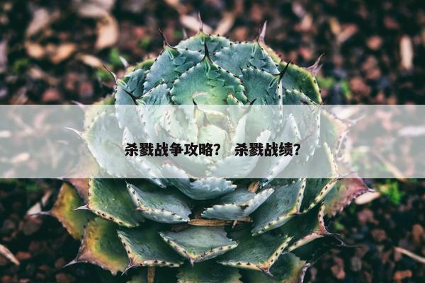 杀戮战争攻略？ 杀戮战绩？