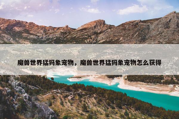 魔兽世界猛犸象宠物，魔兽世界猛犸象宠物怎么获得