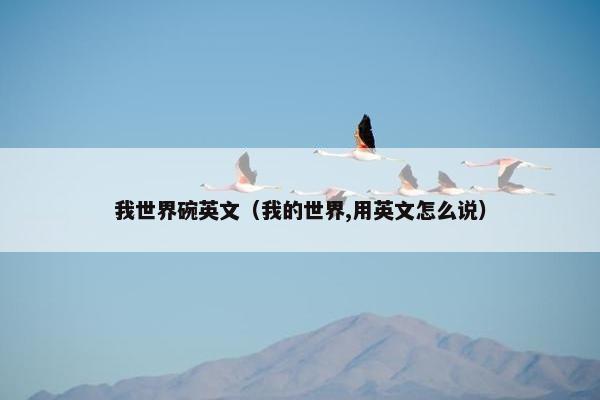 我世界碗英文（我的世界,用英文怎么说）