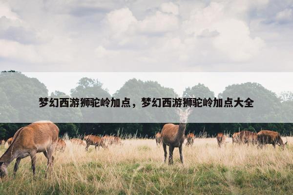 梦幻西游狮驼岭加点，梦幻西游狮驼岭加点大全