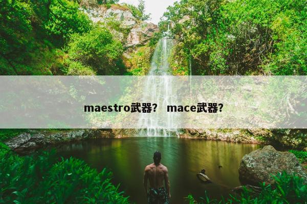 maestro武器？ mace武器？