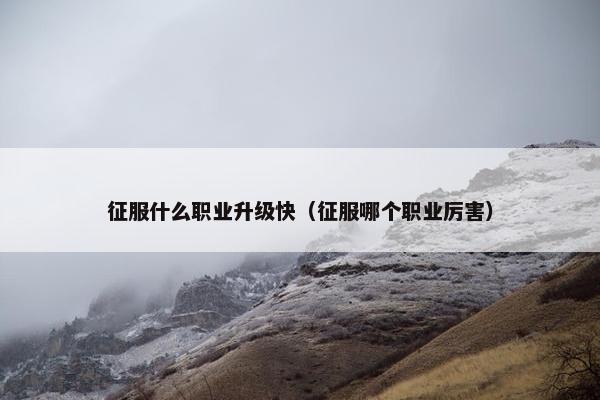 征服什么职业升级快（征服哪个职业厉害）