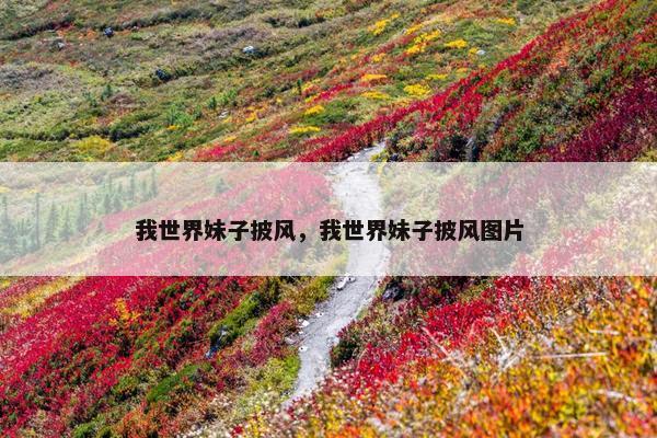 我世界妹子披风，我世界妹子披风图片