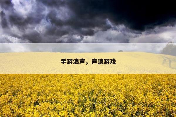 手游浪声，声浪游戏