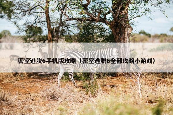 密室逃脱6手机版攻略（密室逃脱6全部攻略小游戏）