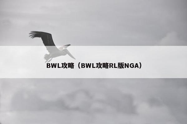 BWL攻略（BWL攻略RL版NGA）