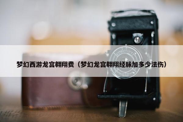 梦幻西游龙宫翱翔费（梦幻龙宫翱翔经脉加多少法伤）